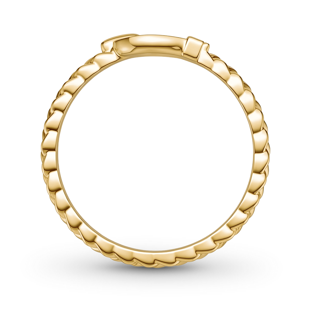 Gnoce Braided Horseshoe Ring_6