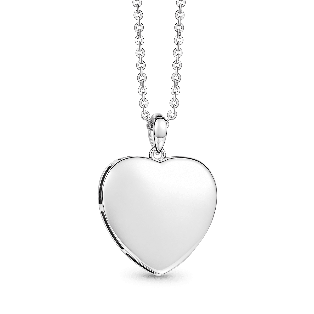 Gnoce Turtle Shell Necklace Platinum-plated Silver Blend_4