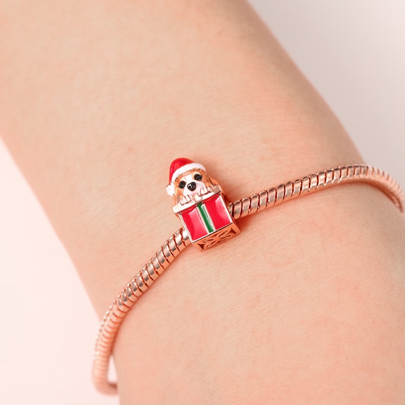 Gnoce Dog with Gift Box Charm_3