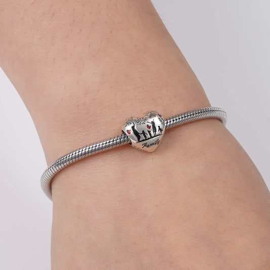 Love of Family Charm Bead Sterling Silver_3