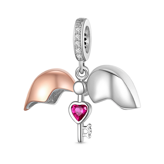 Opening My heart Key Pendant Dangle Charm 925 Sterling Silver 18K Rose Gold Plated Inlaid with Heart Red CZ Stones_1