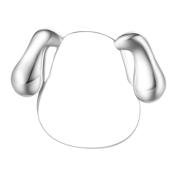 Grawerowany charms z psem Gnoce