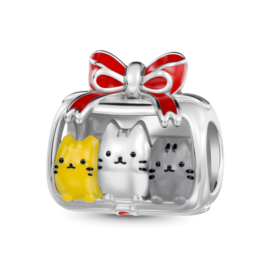 Gnoce Cute Cats Gift Box Charm_1