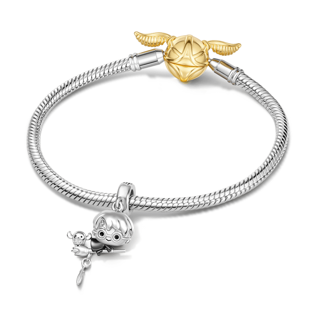 Gnoce Harry Potter Riding A Broom Charm_3