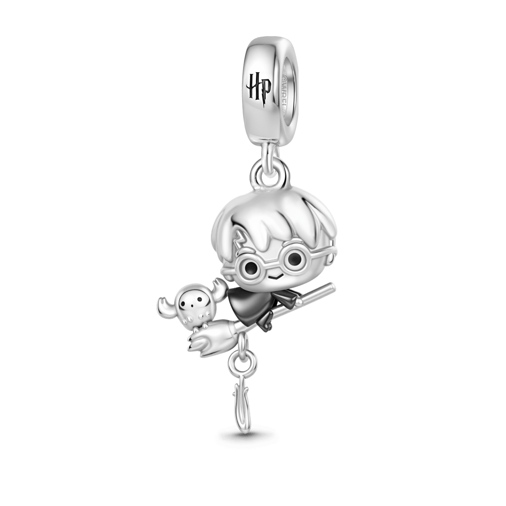 Gnoce Harry Potter Riding A Broom Charm_1