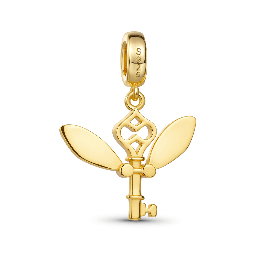 Gnoce Harry Potter Winged Key Charm_6