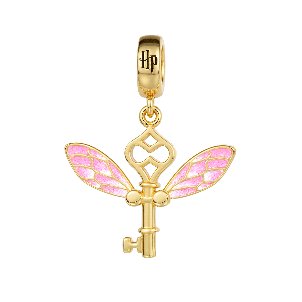 Gnoce Harry Potter Winged Key Charm_1