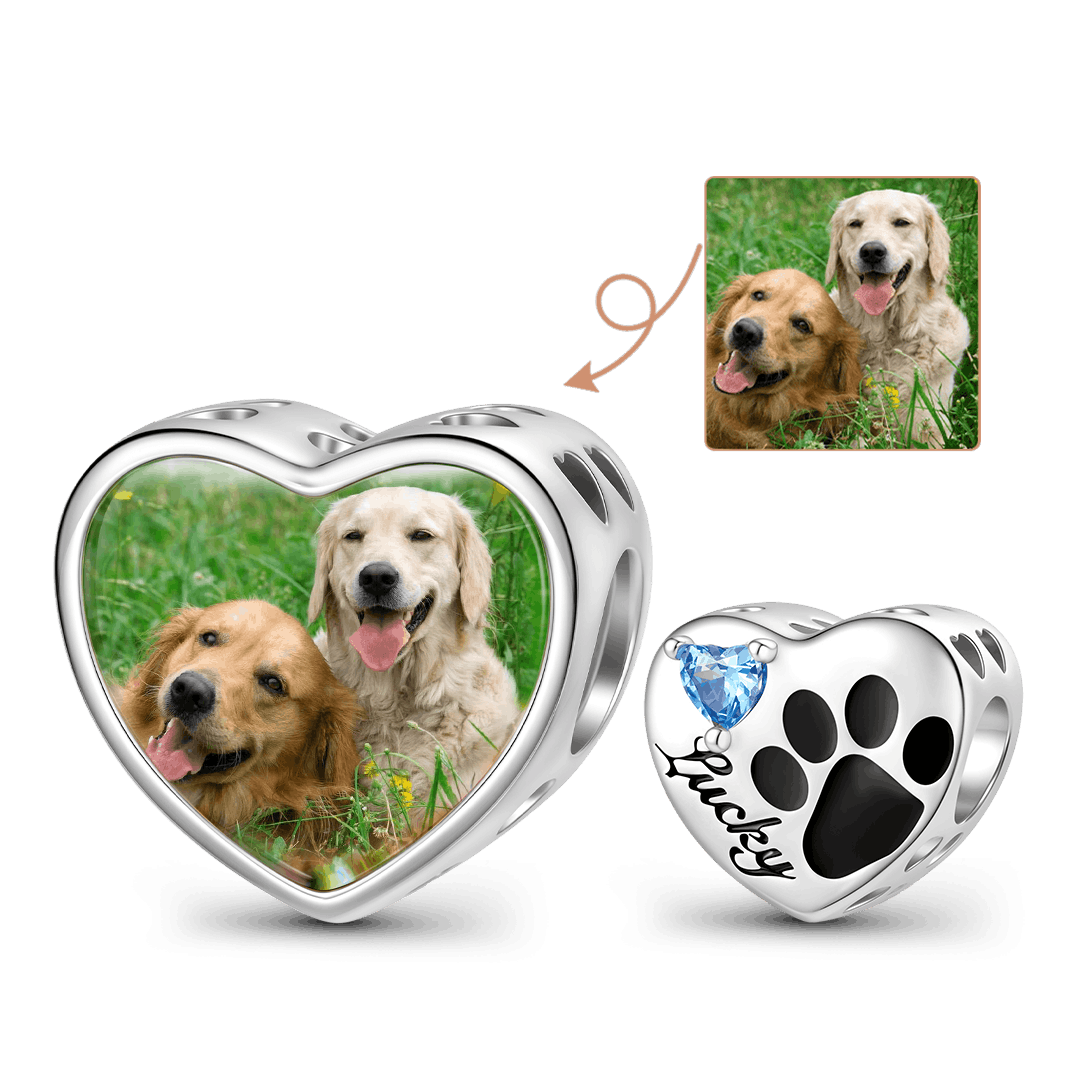 Gnoce Loving Pet Paw Photo Charm Platinum-plated Silver Blend_1