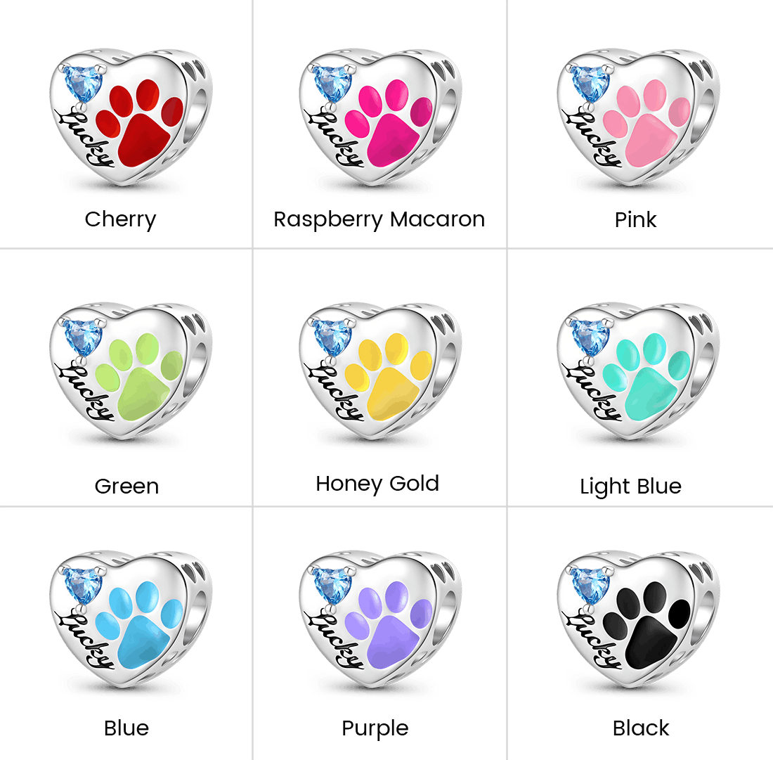 Gnoce Loving Pet Paw Photo Charm Platinum-plated Silver Blend_2