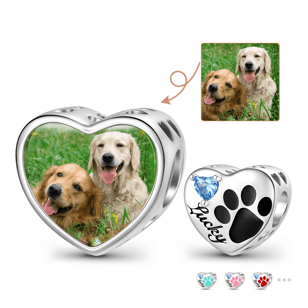 Gnoce Loving Pet Paw Photo Charm Platinum-plated Silver Blend_1