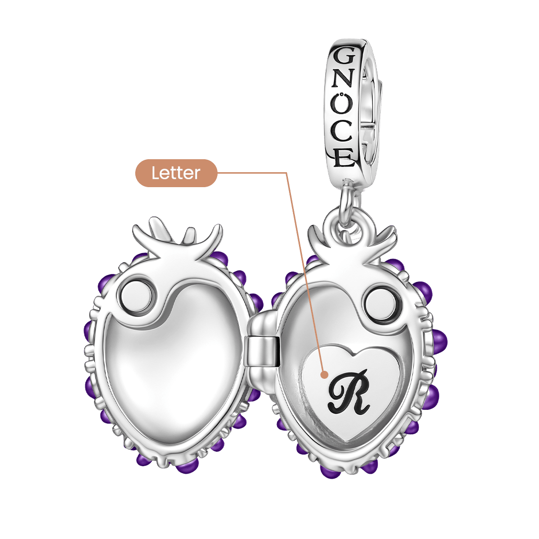 Gnoce Initial Personalized Blackberry Locket Clasp Dangle Charm Platinum‑plated Silver Blend_5
