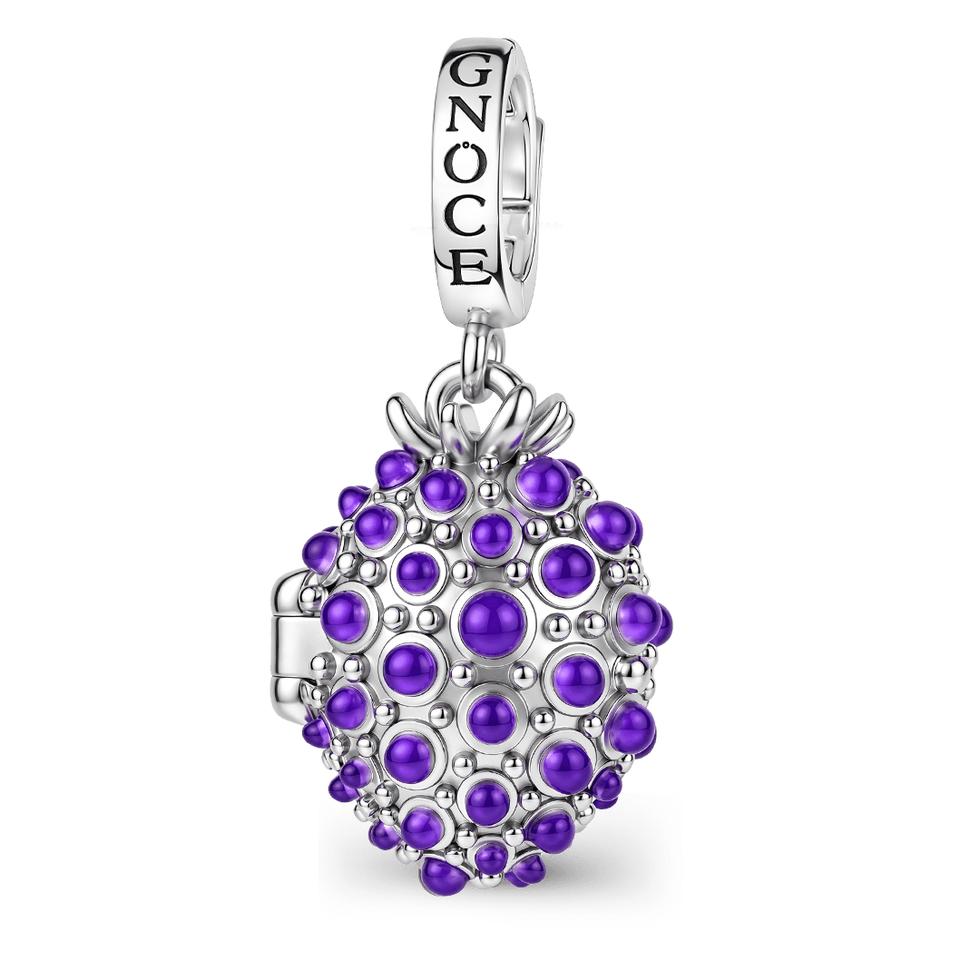 Gnoce Initial Personalized Blackberry Locket Clasp Dangle Charm Platinum‑plated Silver Blend_2