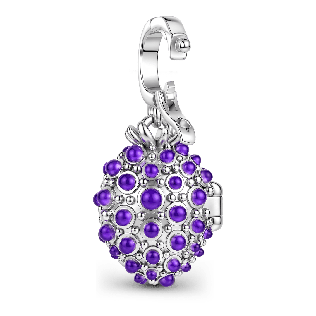 Gnoce Initial Personalized Blackberry Locket Clasp Dangle Charm Platinum‑plated Silver Blend_7
