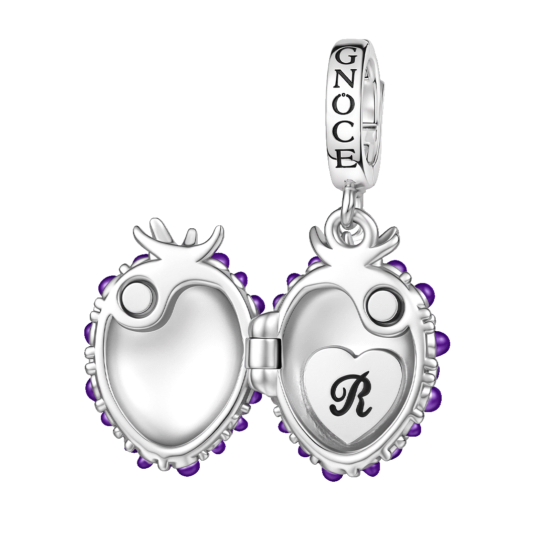Gnoce Initial Personalized Blackberry Locket Clasp Dangle Charm Platinum‑plated Silver Blend_1
