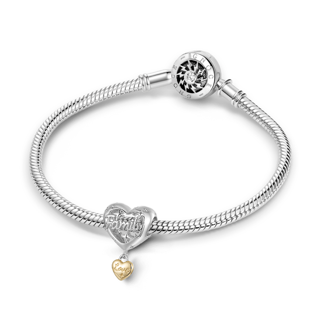 Gnoce Family Heart Pattern Bead Charm_4