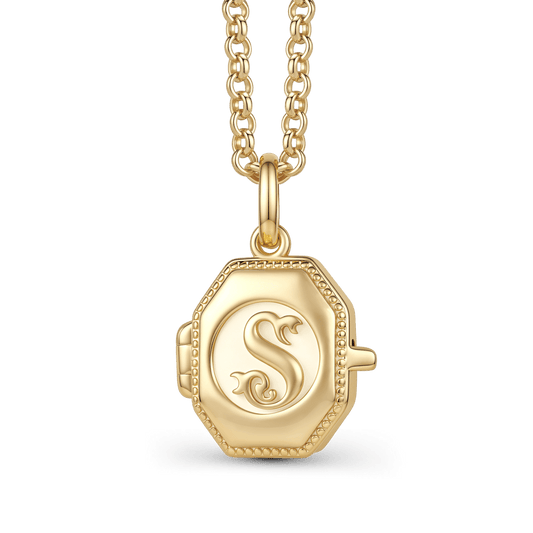 Gnoce Harry Potter Slytherin House Locket Photo Pendant Necklace_1