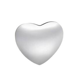 Gnoce "Always in My Heart "Adorable Heart Shape Engravable Personalized Photo Charm  to Friends, Families and Pets_5